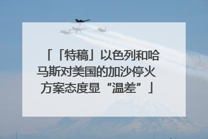 「特稿」以色列和哈马斯对美国的加沙停火方案态度显“温差”
