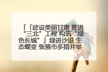「建设美丽甘肃 推进“三北”工程 构筑“绿色长城”」绿进沙退 生态蝶变 张掖市多措并举加大防沙治沙力度