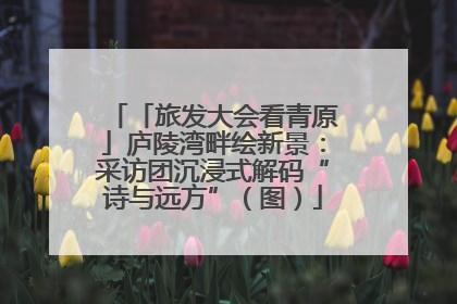 「旅发大会看青原」庐陵湾畔绘新景：采访团沉浸式解码“诗与远方”（图）