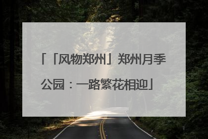 「风物郑州」郑州月季公园：一路繁花相迎