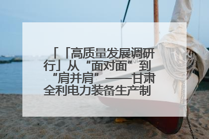「高质量发展调研行」从“面对面”到“肩并肩”——甘肃全利电力装备生产制造项目一线见闻
