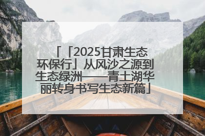 「2025甘肃生态环保行」从风沙之源到生态绿洲——青土湖华丽转身书写生态新篇