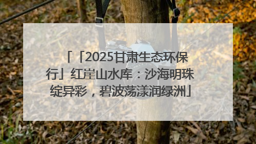 「2025甘肃生态环保行」红崖山水库：沙海明珠绽异彩，碧波荡漾润绿洲