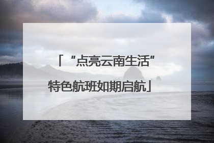 “点亮云南生活”特色航班如期启航