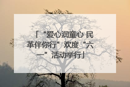 “爱心润童心 民革伴你行”欢度“六一”活动举行
