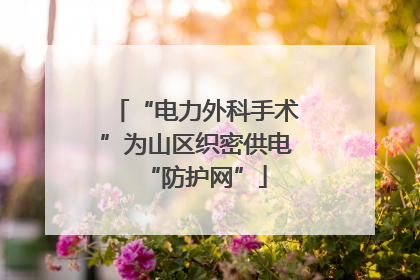 “电力外科手术”为山区织密供电“防护网”