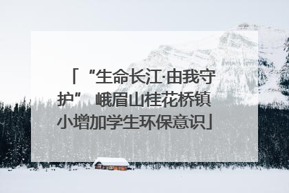 “生命长江·由我守护” 峨眉山桂花桥镇小增加学生环保意识