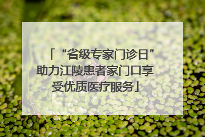 “省级专家门诊日”助力江陵患者家门口享受优质医疗服务