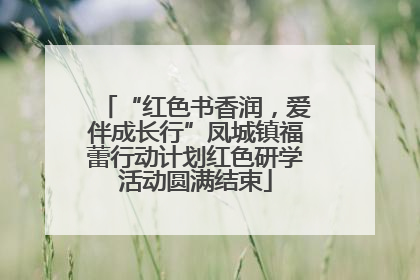 “红色书香润，爱伴成长行”凤城镇福蕾行动计划红色研学活动圆满结束