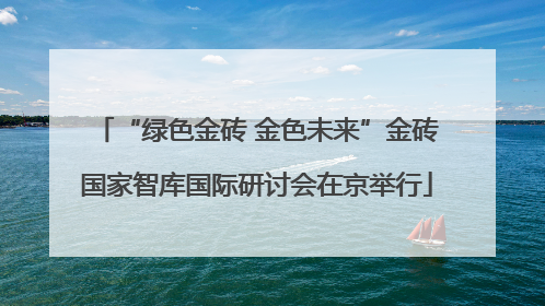 “绿色金砖 金色未来”金砖国家智库国际研讨会在京举行