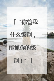 “你管我什么级别，能抓你的级别！”