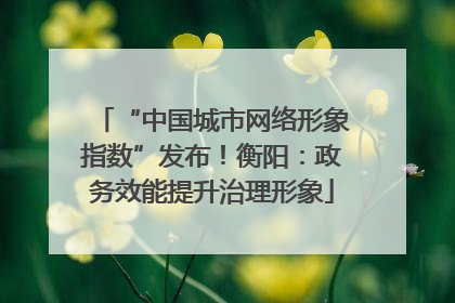 “中国城市网络形象指数”发布！衡阳：政务效能提升治理形象
