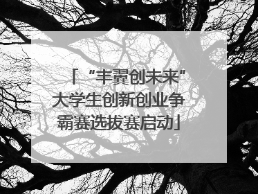 “丰翼创未来”大学生创新创业争霸赛选拔赛启动