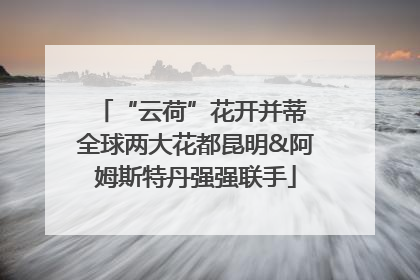 “云荷”花开并蒂 全球两大花都昆明&阿姆斯特丹强强联手