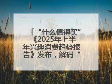 “什么值得买”《2025年上半年兴趣消费趋势报告》发布，解码“心价比”时代兴趣消费新范式