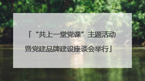 “共上一堂党课”主题活动暨党建品牌建设座谈会举行