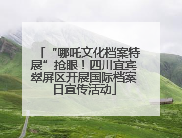 “哪吒文化档案特展”抢眼！四川宜宾翠屏区开展国际档案日宣传活动