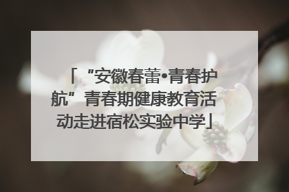 “安徽春蕾•青春护航”青春期健康教育活动走进宿松实验中学