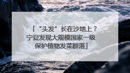 “头发”长在沙地上？宁夏发现大规模国家一级保护植物发菜群落