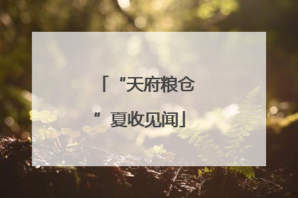 “天府粮仓”夏收见闻