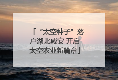 “太空种子”落户湖北咸安 开启太空农业新篇章