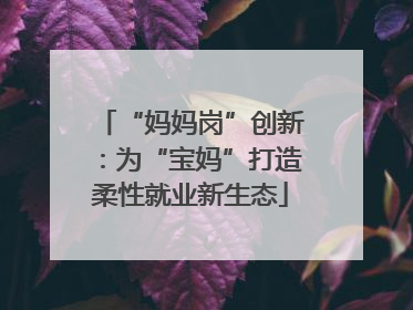“妈妈岗”创新：为“宝妈”打造柔性就业新生态