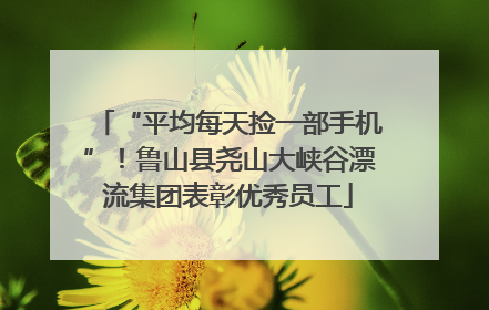 “平均每天捡一部手机”！鲁山县尧山大峡谷漂流集团表彰优秀员工
