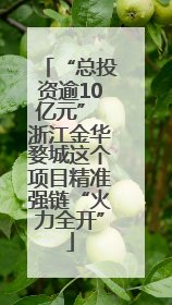 “总投资逾10亿元” 浙江金华婺城这个项目精准强链“火力全开”
