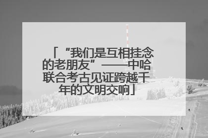 “我们是互相挂念的老朋友”——中哈联合考古见证跨越千年的文明交响
