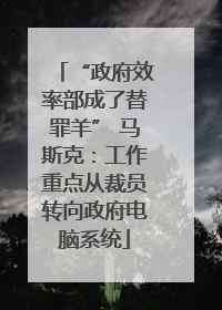 “政府效率部成了替罪羊” 马斯克：工作重点从裁员转向政府电脑系统