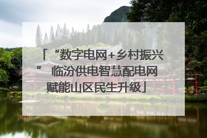 “数字电网+乡村振兴” 临汾供电智慧配电网赋能山区民生升级