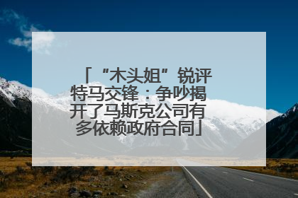“木头姐”锐评特马交锋：争吵揭开了马斯克公司有多依赖政府合同