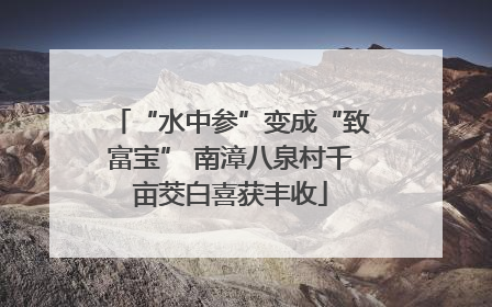 “水中参”变成“致富宝” 南漳八泉村千亩茭白喜获丰收