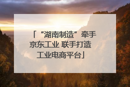 “湖南制造”牵手京东工业 联手打造工业电商平台
