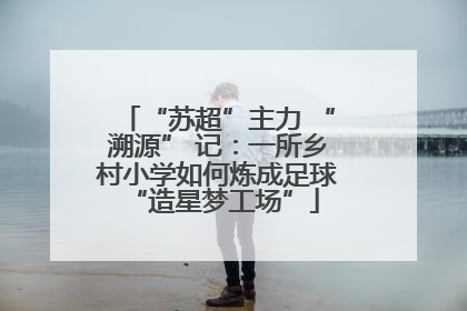 “苏超”主力 “溯源” 记：一所乡村小学如何炼成足球 “造星梦工场”