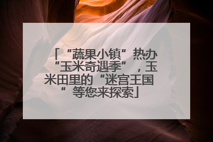 “蔬果小镇”热办“玉米奇遇季”，玉米田里的“迷宫王国”等您来探索