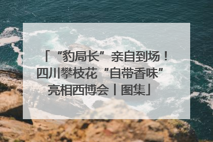 “豹局长”亲自到场！四川攀枝花“自带香味”亮相西博会丨图集