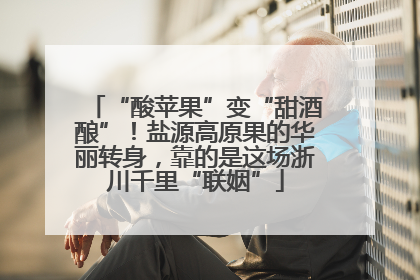 “酸苹果”变“甜酒酿”！盐源高原果的华丽转身，靠的是这场浙川千里“联姻”