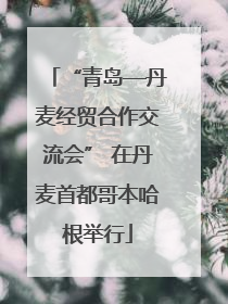 “青岛—丹麦经贸合作交流会” 在丹麦首都哥本哈根举行