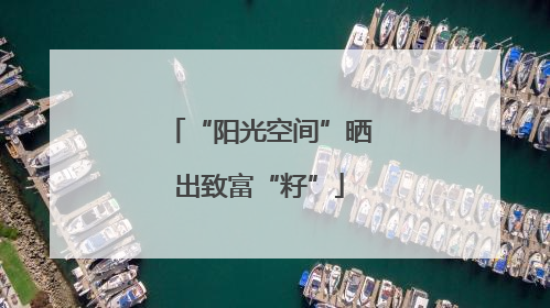 “阳光空间”晒出致富“籽”