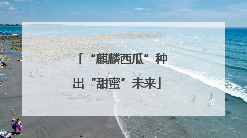 “麒麟西瓜”种出“甜蜜”未来