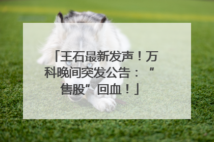 王石最新发声！万科晚间突发公告：“售股”回血！