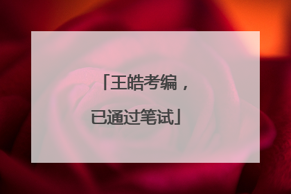 王皓考编，已通过笔试