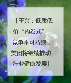 王兴：低质低价“内卷式” 竞争不可持续，美团将继续推动行业健康发展