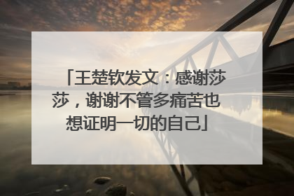 王楚钦发文：感谢莎莎，谢谢不管多痛苦也想证明一切的自己
