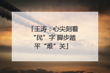 王涛：心尖刻着“民”字 脚步踏平“难”关
