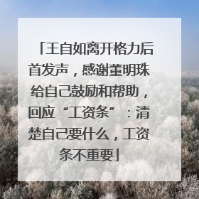 王自如离开格力后首发声，感谢董明珠给自己鼓励和帮助，回应“工资条”：清楚自己要什么，工资条不重要