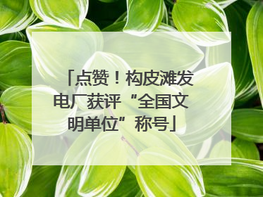 点赞！构皮滩发电厂获评“全国文明单位”称号