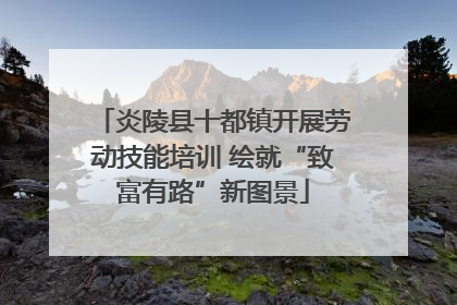炎陵县十都镇开展劳动技能培训 绘就“致富有路”新图景