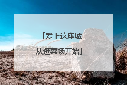 爱上这座城 从逛菜场开始